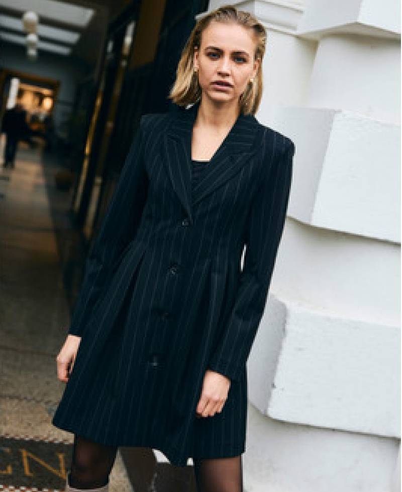 Bruuns Bazaar HydrangeaBBT Tova Dress - Black Pinstripe