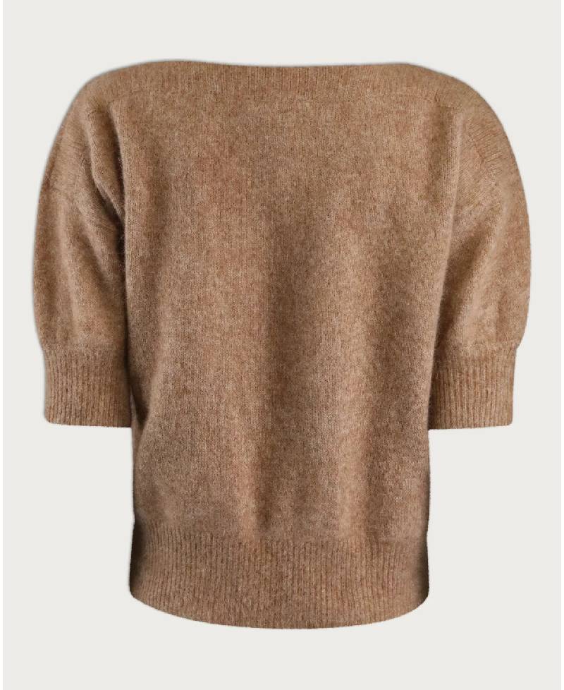 Six Ames Moi - C3619 Dachshund Melange